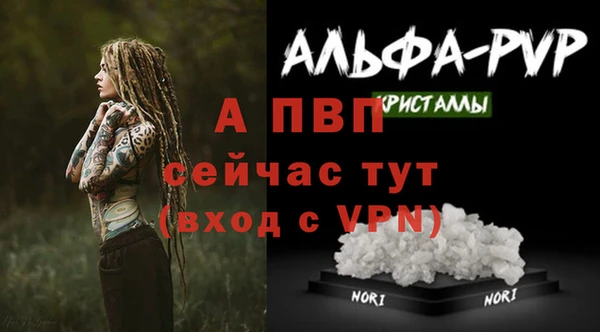 дживик Арсеньев