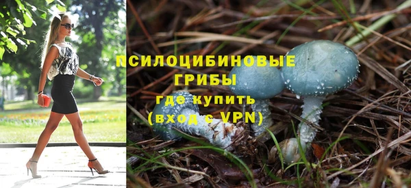 дживик Арсеньев