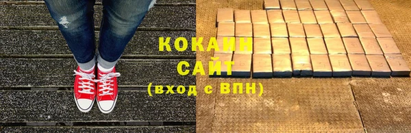 дживик Арсеньев